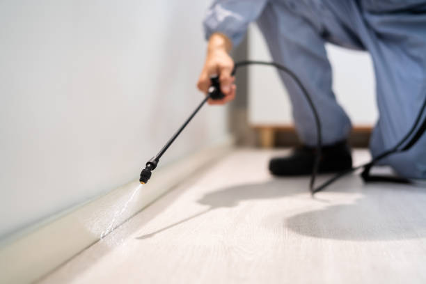 Licensed Termite Control service in Parker, AZ - Nex Pest Control
