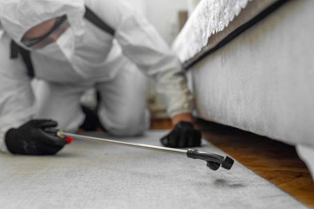 Professional Termite Control technician working in Parker, AZ