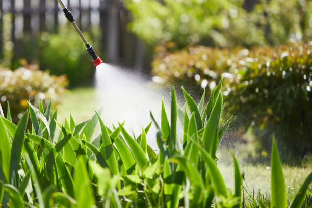 24/7 Emergency Termite Control experts in Parker, AZ
