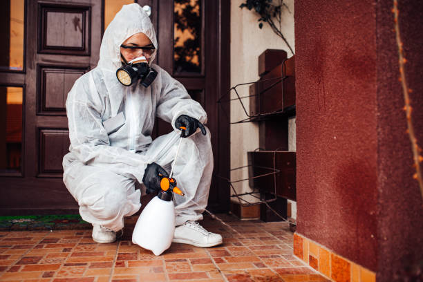 Reliable Termite Control contractor in Parker, AZ by Nex Pest Control