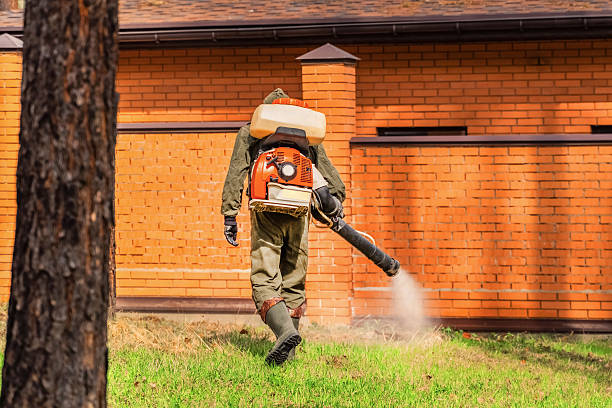 Top rated local Termite Control specialists in Parker, AZ